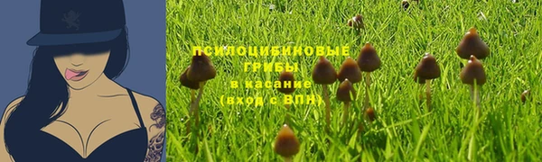 PSILOCYBIN Бородино